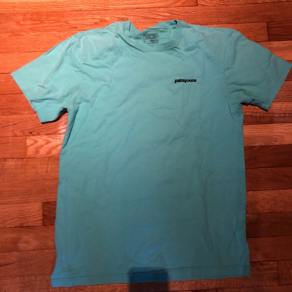 Blue/green Patagonia Tee